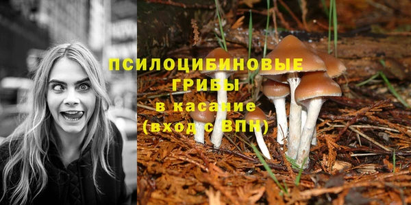 спайс Абаза